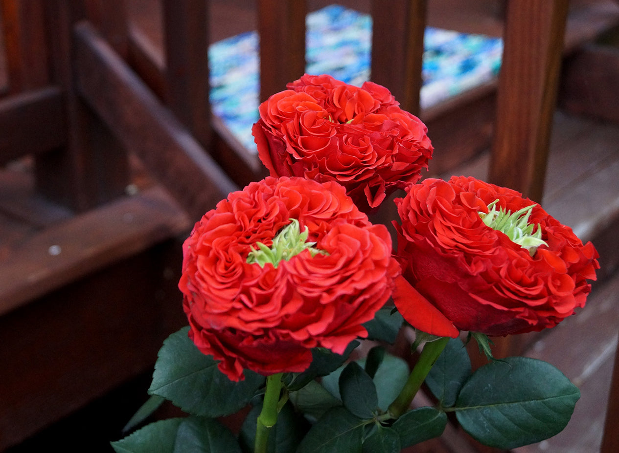 slider-image
