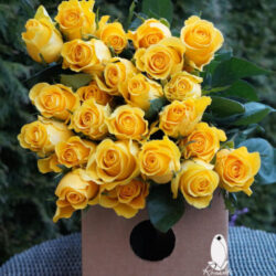 YELLOW ROSES (WS)